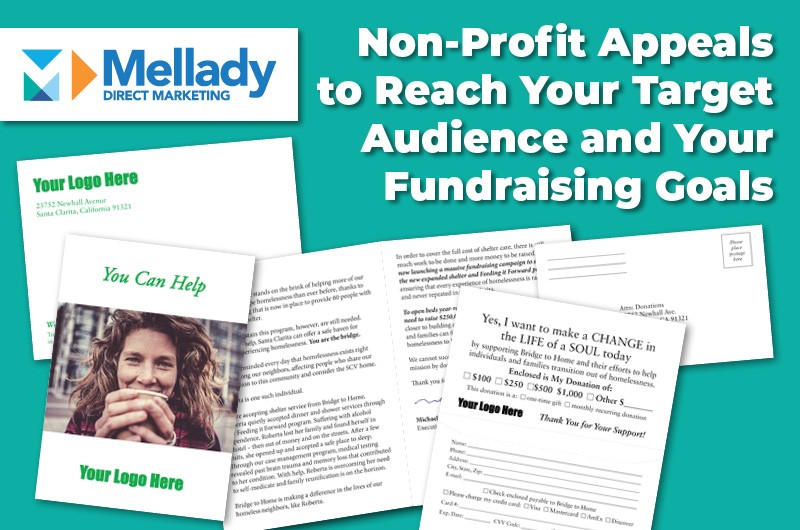 Non-Profit Appeals to Reach Your Target Audience and Your Fundraising Goals